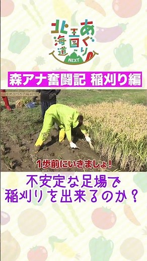 Mori Announcer's Struggle ~Rice Harvesting Edition~