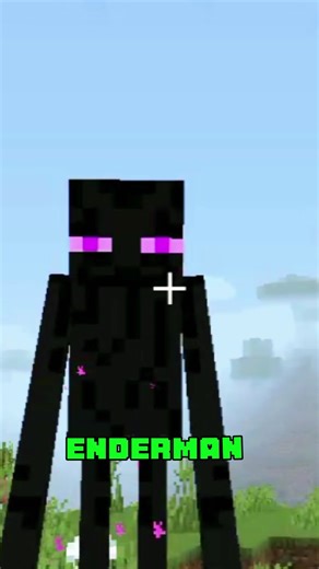 This 1 Pixel Makes Enderman Attack 😨