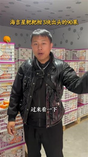 刚从树上摘下来的粑粑柑，粒粒分明、甜过初恋。 #水果代采 #水果市场 #粑粑柑 #海吉星 #广西水果
