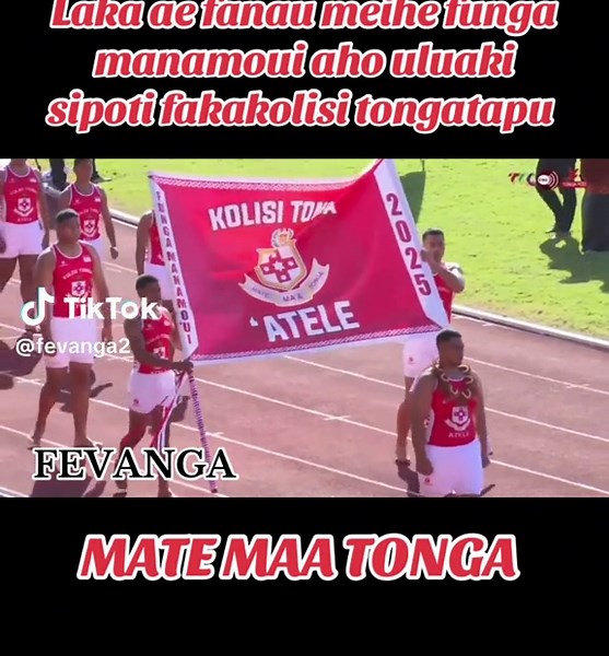 Kolisi Tonga - A Celebration of Tongan Culture 🇹🇴🦁