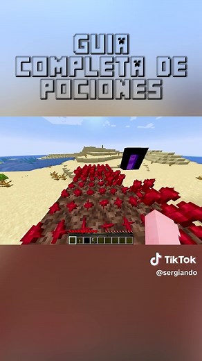 Guía Completa de Pociones en Minecraft 1.21