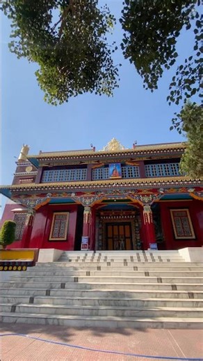 Kagyu lineage ❤️ #trending #fortuner #youtubeshorts #sikkim #buddhism #toyota #viral #gangtok#audio