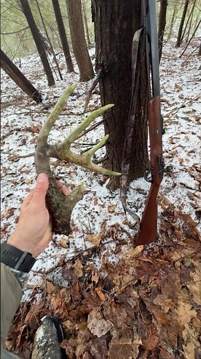 PA Flintlock Hunting #roguebowhunter #deer #bowhunter #archery #mountainbucks #bowhunting