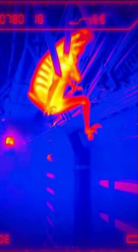 Hunting the Alien with the Combi-Stick (Ship Battle) #predator #yautja #xenomorph #avp #fighting