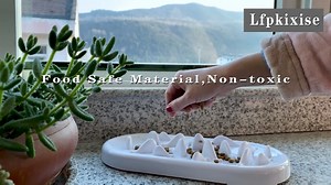 Watch Lfpkixise Slow Feeder Cat Bowl on Amazon Live