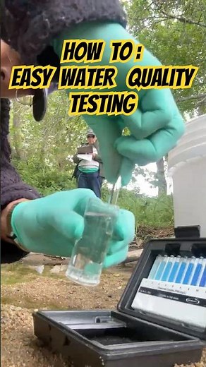 How To: Water Quality Testing in 5 Steps!