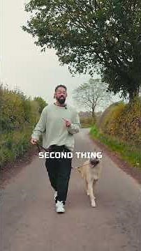 How To Teach Loose Leash Walking In 5 Minutes