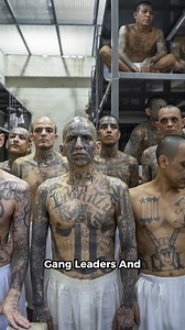 23K views · 386 reactions | The 5 Most Wanted People By the FBI | TOP 10 | Facebook