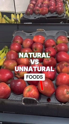 38K views · 549 reactions | The Human Health Guide  Click Here  https://revivalofwisdom.com/products/human-health-guide-pdf?sca_ref=5264738.qDEe5LE73d | Revival Of Wisdom | Facebook