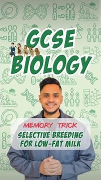 GCSE Biology: Memory Trick | Selective Breeding for Low-Fat Milk