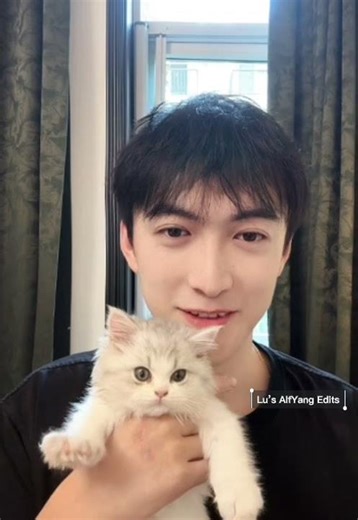 挺有音乐节奏天赋的小猫咪