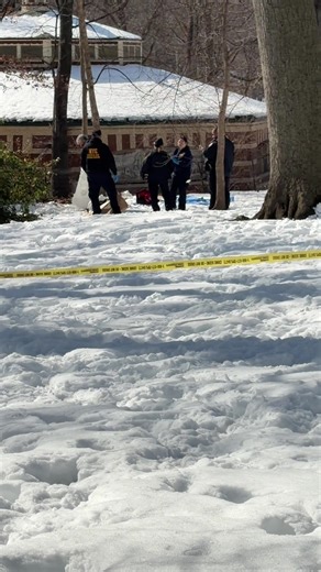 Strange Occurrences in Central Park Today