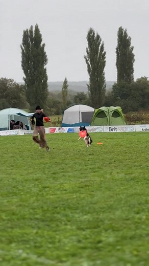 Mistrzostwa Europy Dogfrisbee 2024 Freestyle Open