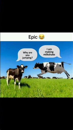 😂 Funniest Memes to Start Your Day | Joke Cloud P25 🌤️#memes #funnyvideos #joke #comedyshorts #viral