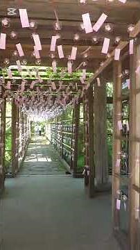【群馬観光】花の寺「吉祥寺」の風鈴回廊と枯山水庭園｜世界平和を願う2026.7.25