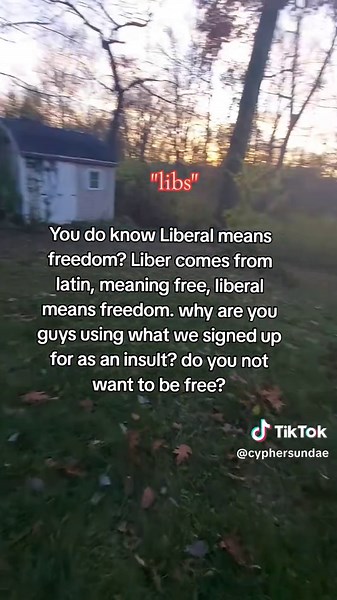 Understanding Liberalism: Freedom and Its Origins