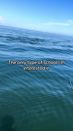 Topwater Fishing Tips at School