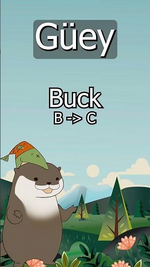 Wey in Mexican Spanish Explained!!!