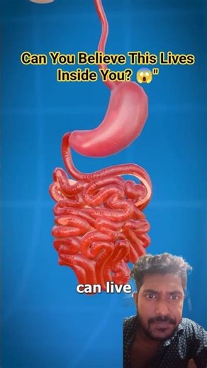 ​What Is A Tapeworm? 😨