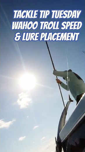 Winter Wahoo Trolling Tips: Why 14–18 Knots Is the Magic Speed | Tackle Tip Tuesday