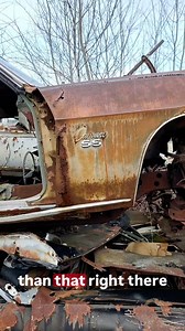 This is a weird combination from the video drop today over ---> there 1969 Camaro SS sitting on top of a 1966 Chevelle SS 396. I did not even notice the Chevelle was an SS when I first saw the cars in 2014. But now I did! #junkyard #autoarchaeology #chevelle #camaro #ss | The Auto Archaeologist