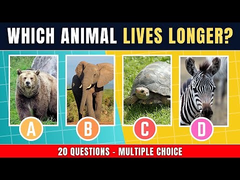 ANIMALS TRIVIA QUIZ - Multiple Choice Test ✔️