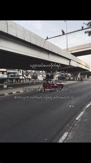 Teaching Dogs: Why Patience is Key