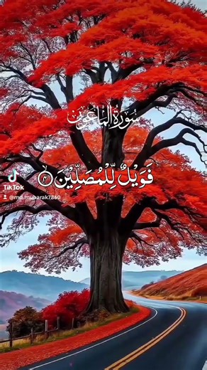 Surah Al-Ma'un Quran Recitation 📖🌙 #shortvideo #islamicvideo