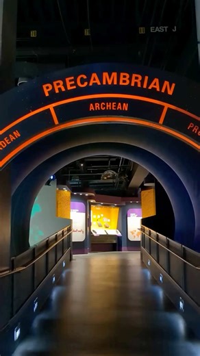 At the beginning of the Precambrian, Earth was a harsh and unpredictable place. Volcanic eruptions, meteor strikes, and extreme heat made it impossible for complex life to exist. After millions of years, the surface cooled, oceans began to form, and the first life forms appeared. Learn more about these early life forms in our new First Life exhibit, open now! #FirstLife #science #newexhibit #museum #Alberta #Canada | Royal Tyrrell Museum of Palaeontology