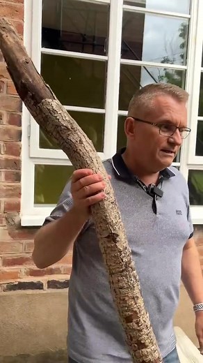 85K views · 196 reactions | Follow for real life property tips | Rick Gannon | Facebook