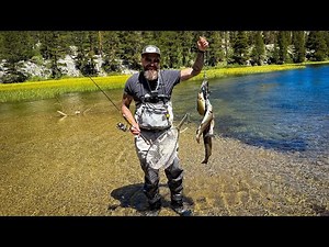 Epic Day at Eastern Sierra Trout Fishing Adventure
