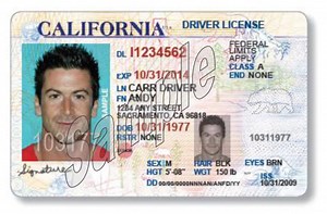 Connecticut Drivers License Security Features
