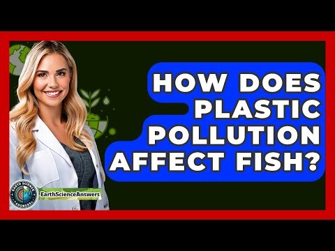 How Does Plastic Pollution Affect Fish? - Earth Science Answers