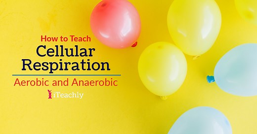 Cellular Respiration Worksheet & Lab - iTeachly.com