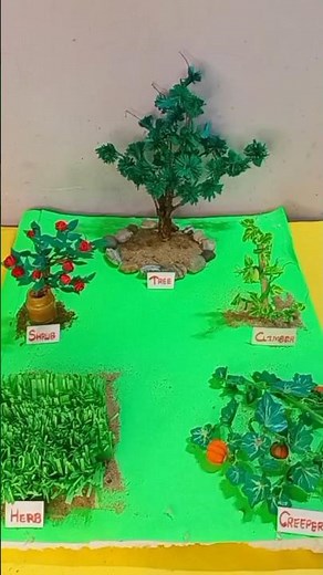 Type of Plants model school project | Types of Plant Science project Model #shorts #typesofplants