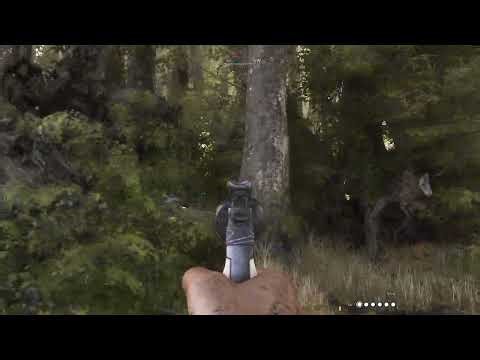 Hunt Showdown | Aufgenommen mit GeForce