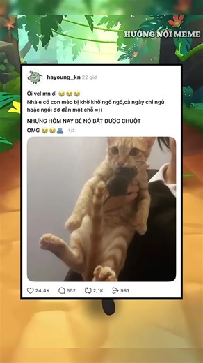 Niềm vui mà chỉ những ng nuôi mèo mới hiểu #threads #conment #topcomment