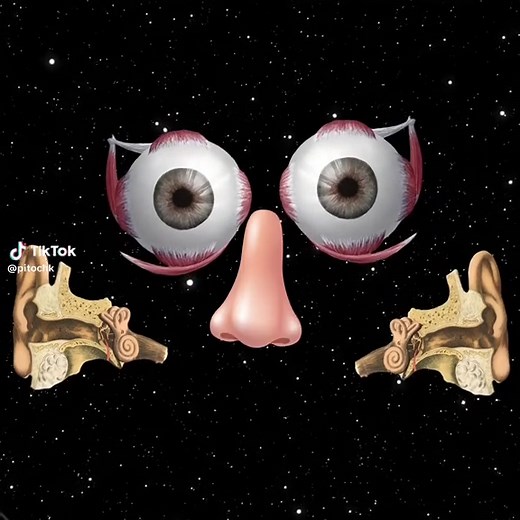 Exploring Beyond the Five Senses: Human Perception