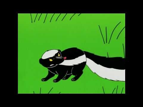 Stinktier/Skunk fart