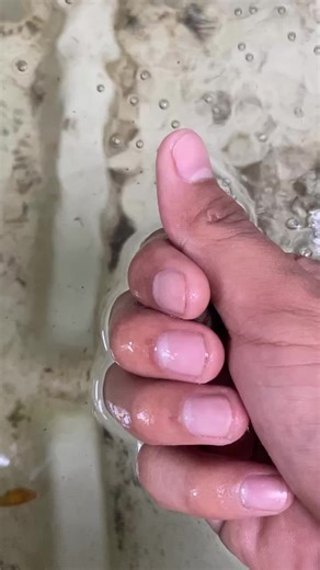 Giant Water Balloons: Fun Ideas for Happy Fishkeeping