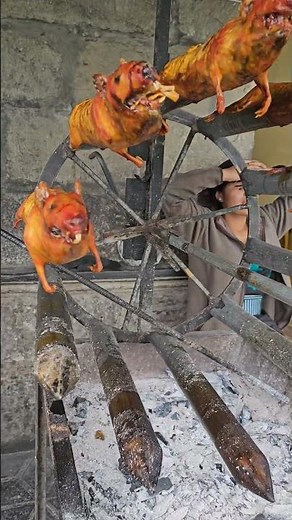 Ecuador’s Street Delicacy: Cooking Guinea Pigs (Cui Cui) the Traditional Way!