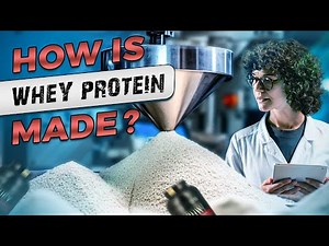 The Fascinating Process of Making Whey Protein