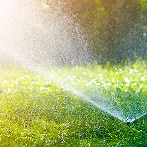 Quais os principais sistemas de irrigação para jardim e como eles funcionam - Blog Leroy Merlin