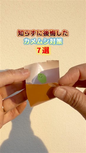 カメムシ対策7選#shorts #虫対策