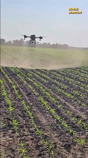 This is how drones spray agricultural land easily