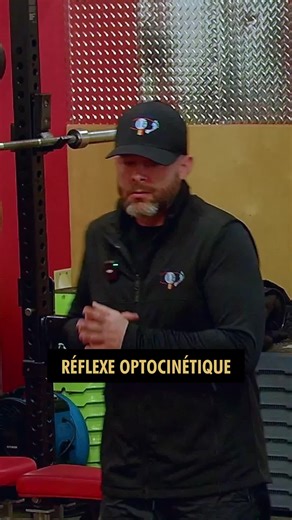 Le réflexe optocinétique : Activer les extenseurs Le réflexe optocinétique fait partie des mouvements oculaires les plus primitifs du système nerveux. Bien avant la force ou la mobilité, le cerveau doit d’abord stabiliser le corps contre la gravité. En activant les chaînes des extenseurs avec des exercices optocinétiques, on améliore la connexion entre le système nerveux et les muscles. Résultat : une meilleure stabilité, un meilleur contrôle, et une base solide pour tous les mouvements plus com