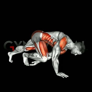 51K views · 773 reactions | FRONT PLANK TOE TOUCH exercise... High quality media content for you on Gym visual - gymvisual.com | Gym visual | Facebook