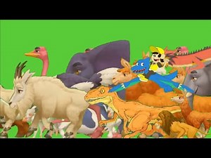 Stampede Green Screen | Wild Animals Walking Together | Green Screen Conservation Footage