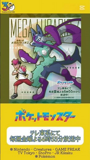 いざ、最終決戦へ！ ポケモンと強いキズナで結ばれた メガシンカを駆使するトレーナー！ No.1 ロイ&色違いの メガルカリオZ