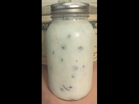 Making Homemade Yogurt | Simple Recipe!